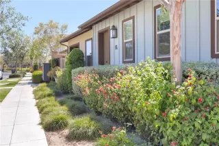 Photo #2: OC26103436 Listing