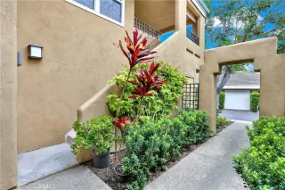Photo #1: OC26106778 Listing