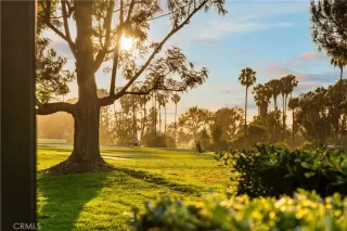 More Details about MLS # OC26110572 : 18 SOLANA