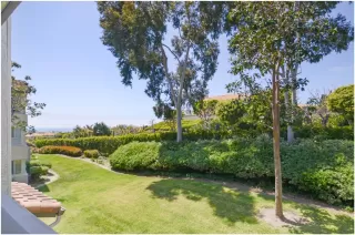 Photo #4: OC26111055 Listing