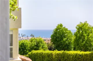 Photo #1: OC26115812 Listing 