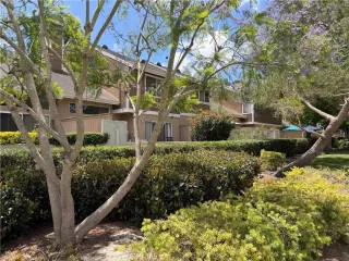 Photo #2: OC26116466 Listing 