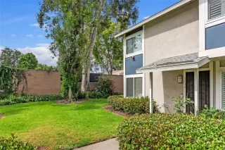Photo #1: OC26117851 Listing