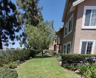 Photo #1: OC26117915 Listing