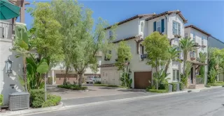 Photo #1: OC26118502 Listing