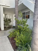 Primary Photo for MLS#: OC26124136