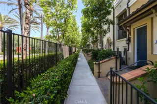Photo #1: OC26125716 Listing