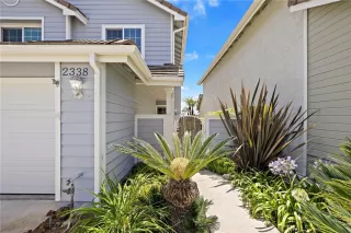 Photo #2: OC26127851 Listing