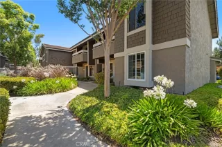 Photo #1: OC26128498 Listing 