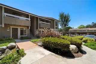Photo #2: OC26128498 Listing 