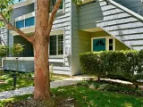 Primary Photo for MLS#: OC26130517