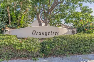 Photo #1: OC26133381 Listing 