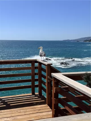 Photo #1: OC26135304 Listing