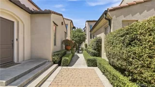 Photo #1: OC26141846 Listing 
