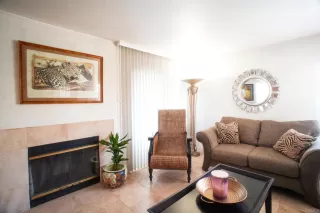 Photo #3: PTP2603095 Listing 