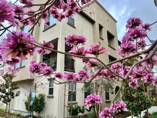 Photo #1: PW23065001 Listing