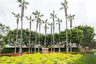 Photo #2: PW23097313 Listing 