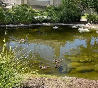 Photo #3: PW24013473 Listing 