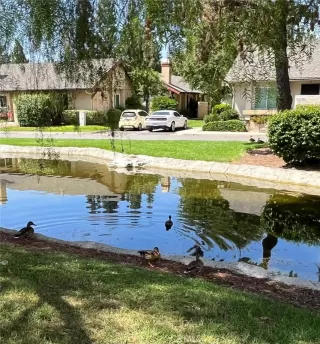 Photo #4: PW24013473 Listing 