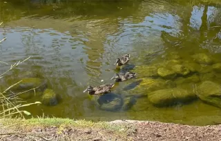 Photo #5: PW24013473 Listing 