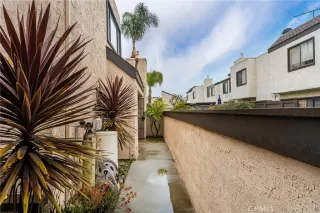 Photo #5: PW24019451 Listing 