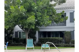 Photo #1: PW24030333 Listing