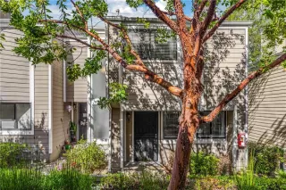 Photo #2: PW24091792 Listing 