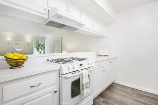 Photo #5: PW24105451 Listing 