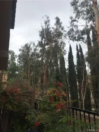 Photo #5: PW24121877 Listing 