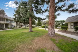 Photo #6: PW25016778 Listing