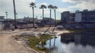 Photo #5: PW25103427 Listing 