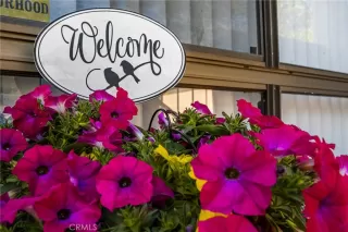 Photo #6: PW25112945 Listing 