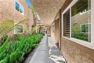 Photo #1: PW25200583 Listing