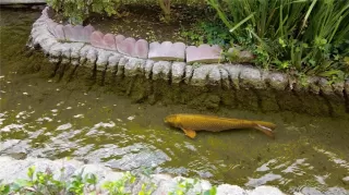 Photo #3: PW25263215 Listing