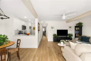 Browse active condo listings in WALNUT SQUARE