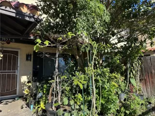 Photo #1: PW26007469 Listing 