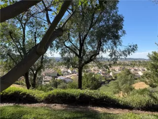 Photo #4: PW26064505 Listing