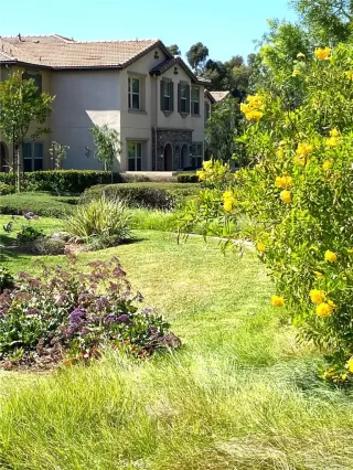 Photo #1: PW26092229 Listing 