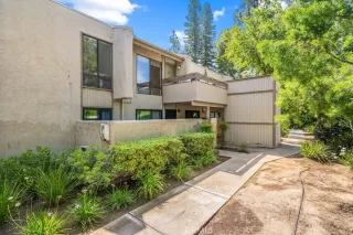 Browse active condo listings in PARK RIDGE