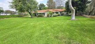 Photo #5: PW26113005 Listing 