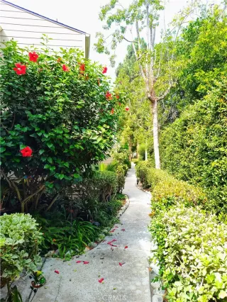 Photo #6: RS24251055 Listing