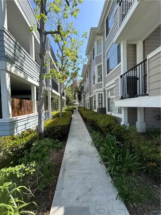 Photo #3: SW24085639 Listing