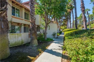 Photo #2: SW24203514 Listing 