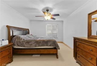 Photo #6: SW24235057 Listing 