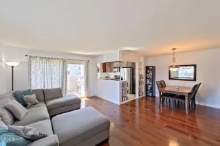 Photo #1: V1-16846 Listing