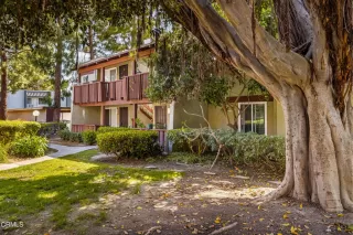 Photo #1: V1-18065 Listing