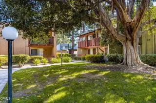 Photo #2: V1-18065 Listing