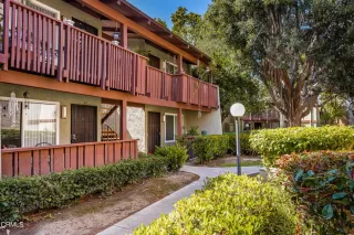 Photo #3: V1-18065 Listing