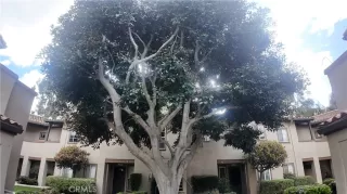 Photo #1: WS24067223 Listing