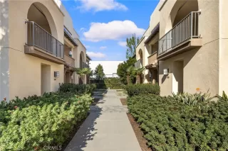 Photo #2: WS25002537 Listing 